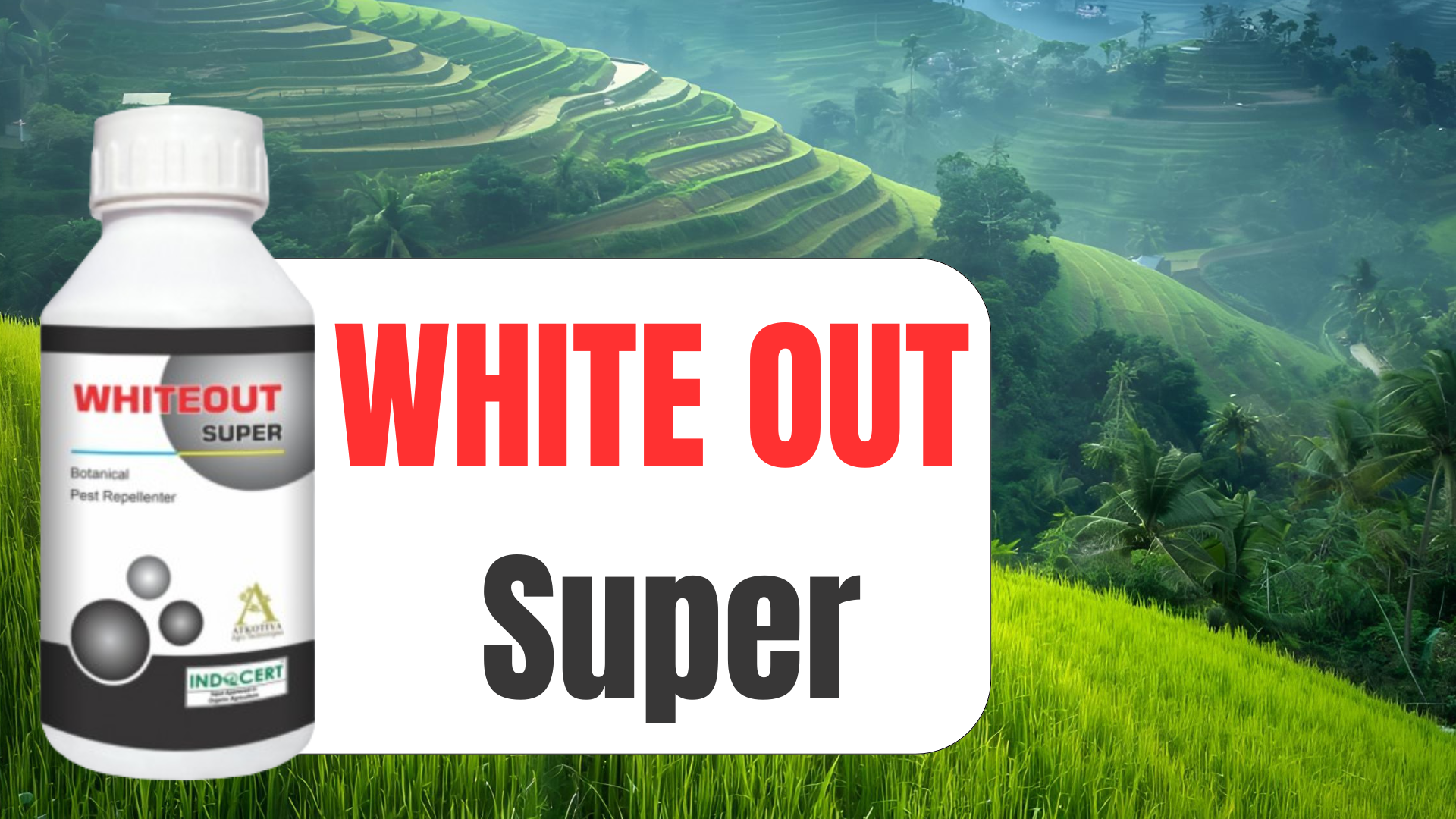 WHITE OUT Super Botanical Insecticide: Safe, Natural Pest Control for Clean Crops